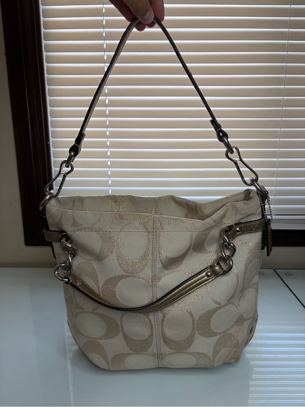 Coach Cream Signature Canvas Hobo with Metallic Trim